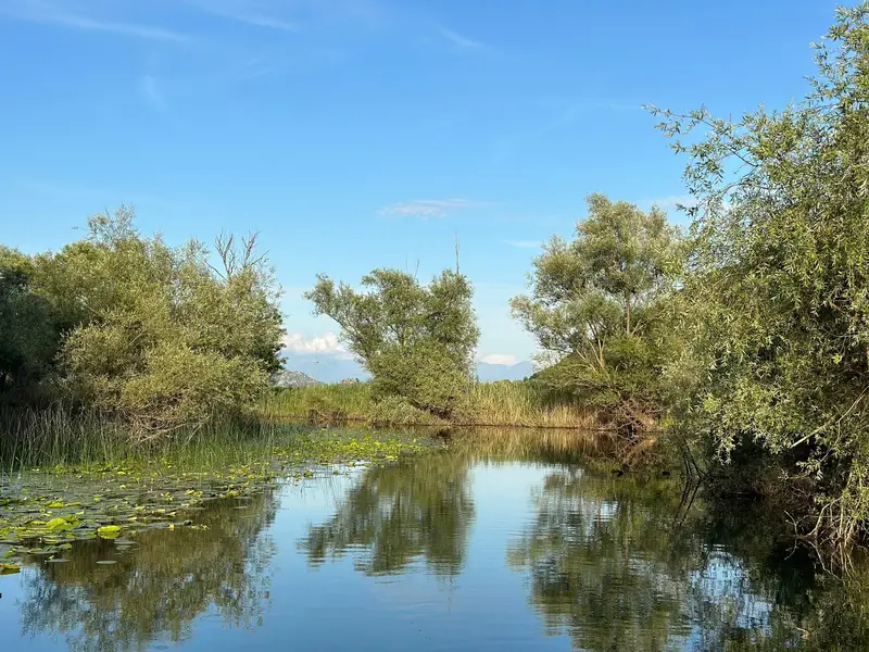 The Amazon — Three Rivers